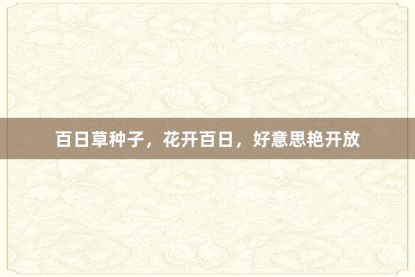 百日草种子，花开百日，好意思艳开放